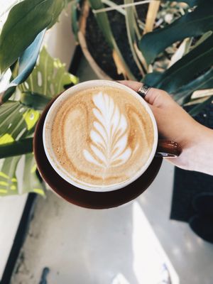 Picacho Coffee Roasters by null
