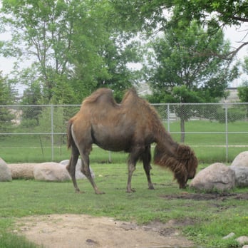 Red River Zoo - Zoos Near Me - Fargo, North Dakota Red River Zoo - Zoos Near Me - Fargo, North Dakota