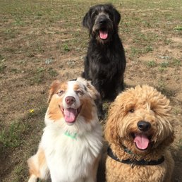 Happy friends
