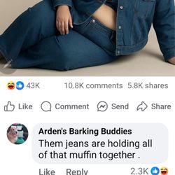 Arden's Barking Buddies - How stupid ppl are in business to fat shame ppl online.