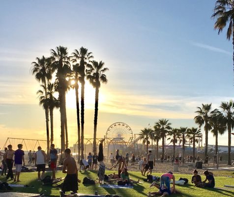 Original Muscle Beach Santa Monica by null