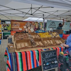 Bellingham Farmers Market - Mushroom vendor