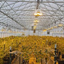 Sunwalker Farms