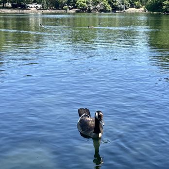 Centennial Park - Parks Near Me - Nashville, Tennessee Centennial Park - Parks Near Me - Nashville, Tennessee
