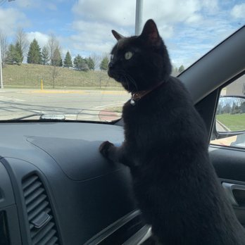 Furry Friends Refuge - Animal Shelters Near Me - West Des Moines, Iowa