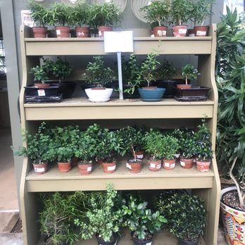 Martin Garden Center - Garden heaven - Nurseries & Gardening Near Me - Greenville, South Carolina Martin Garden Center - Garden heaven - Nurseries & Gardening Near Me - Greenville, South Carolina