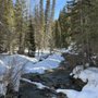 Photo of White Pine Trail