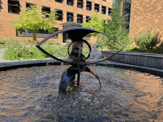 University of Washington by null