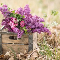 3 Leaf Floral Design - Locally grown products