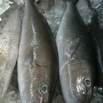 Troy Enterprise - Seafood Markets Near Me - Honolulu, Hawaii