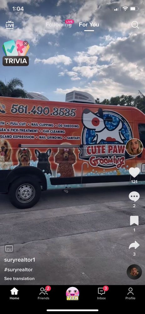 Cute Paws Grooming Image