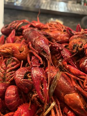 Willie's Restaurant by null