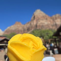 Desert Ice