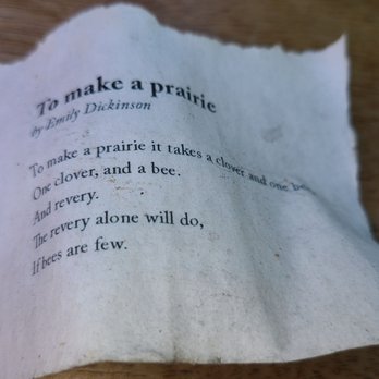 Open Face Food Shop - Someone left a poem in the tree - Sandwiches Near Me - Los Angeles, California