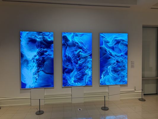 Vero Beach Museum of Art by null