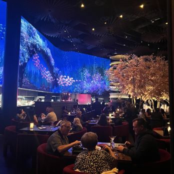 Three Thirty Three - The ambience - Steakhouses Near Me - Tempe, Arizona