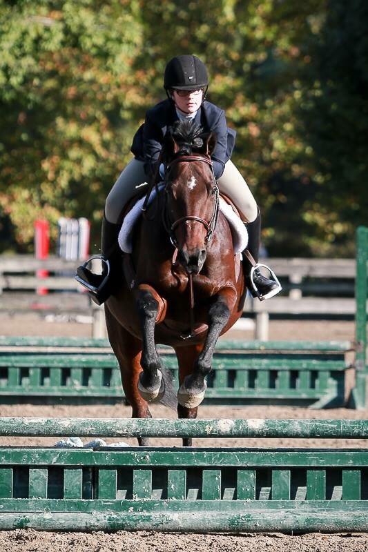 Natchez Bend Equestrian Center - equestrian in Franklin, TN
