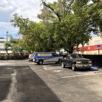 Premium Tree Service - Tree Services Near Me - Miami, Florida Premium Tree Service - Tree Services Near Me - Miami, Florida