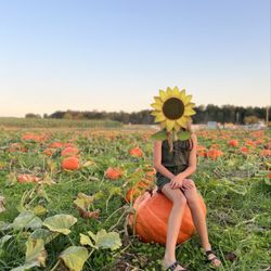 Sunset Valley Farms - Pumpkin patch