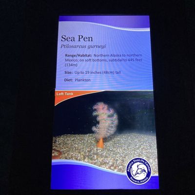 Alaska SeaLife Center by null