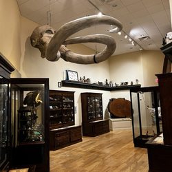 Mayborn Museum