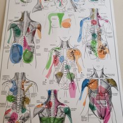 E&M Reflexology - Nerve entrapment let us help u feel better without surgery.