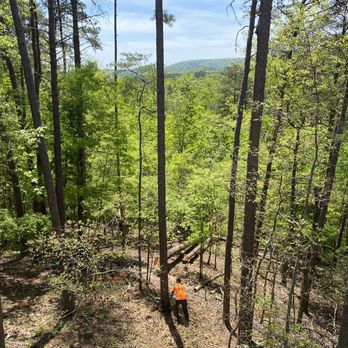 Southern Pro Clearing & Grading - Tree Services Near Me