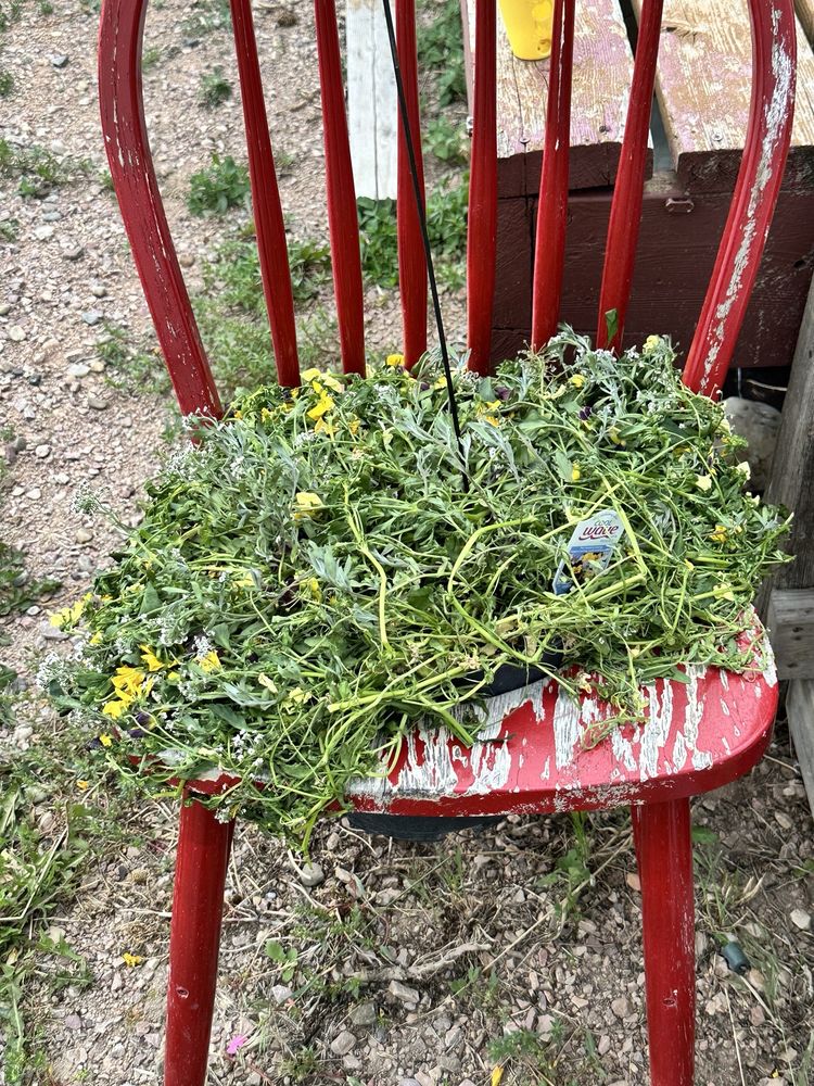 JOLLY LANE GREENHOUSE Updated September 2024 2962 Jolly Ln, Rapid City, South Dakota