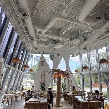 Avo Miami - Juice Bars & Smoothies Near Me - South Miami, Florida Avo Miami - Juice Bars & Smoothies Near Me - South Miami, Florida