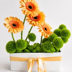 Paris & Petals