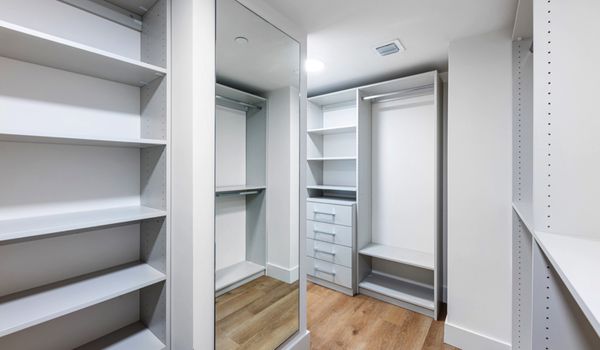 The Hamilton by null