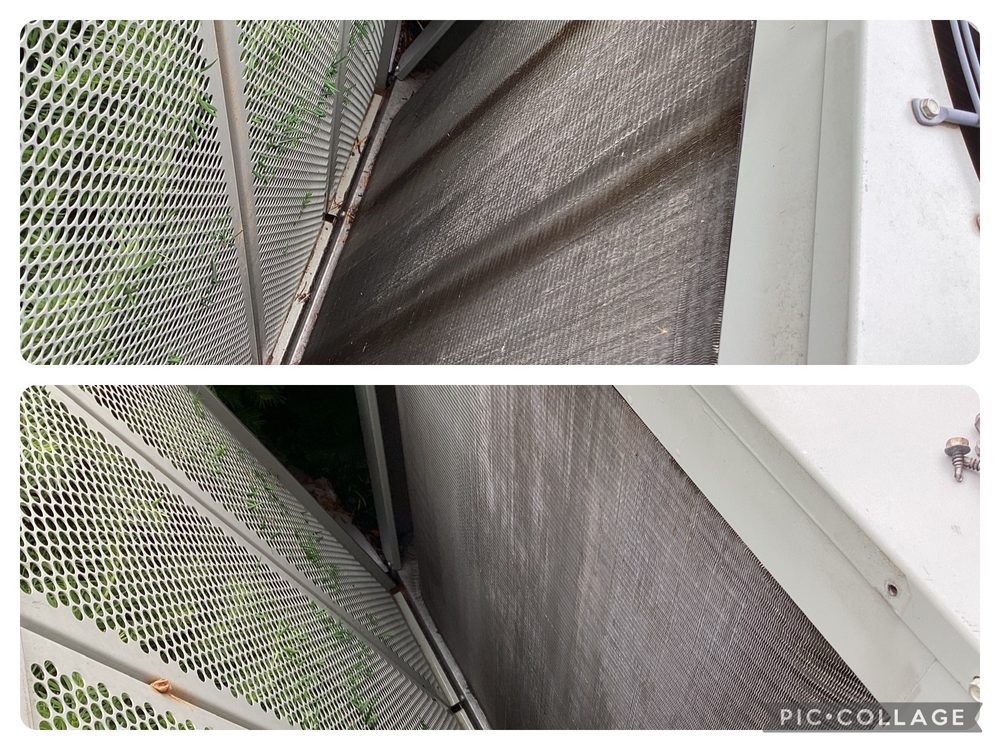 Slide of Bigfoot's Corner