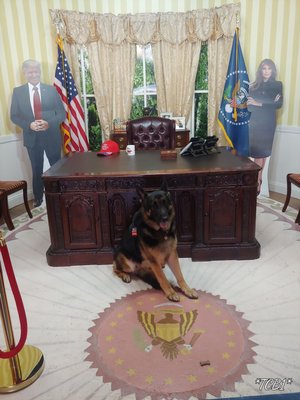 Conservative Grounds by null