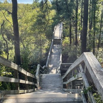 Kiptopeke State Park - Steps to the swimming beach from campsite area - Beaches Near Me - Cape Charles, Virginia Kiptopeke State Park - Steps to the swimming beach from campsite area - Beaches Near Me - Cape Charles, Virginia