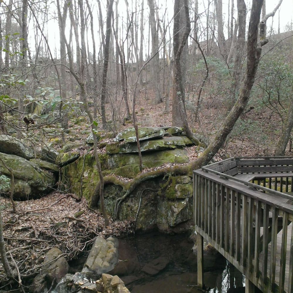 Azalea Cascade Falls Trail - Parks Near Me - Fort Payne, Alabama Azalea Cascade Falls Trail - Parks Near Me - Fort Payne, Alabama