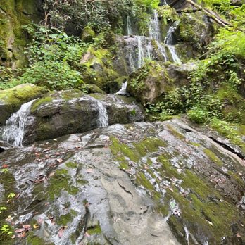 Roaring Fork Motor Nature Trail - Waterfall - Hiking Near Me