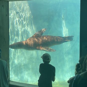 Brookfield Zoo Chicago - Zoos Near Me - Brookfield, Illinois