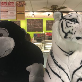 King Kone - a white tiger and a black monkey - Ice Cream & Frozen Yogurt Near Me - Whitehall, Pennsylvania King Kone - a white tiger and a black monkey - Ice Cream & Frozen Yogurt Near Me - Whitehall, Pennsylvania