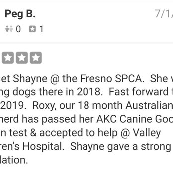 Star Maker Dog Training - Another 5 star review "not recommended" by Yelp - Pet Training Near Me