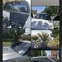 Photo of Bo-Zilla Tint Place