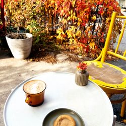 Café des Habitudes - Chai latte and biscuit à la courge