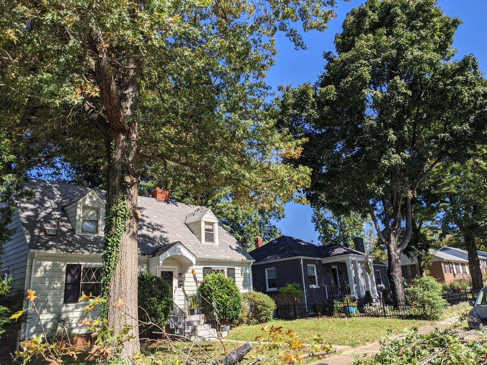 Limb and Tree Removal - tree service in Richmond, VA