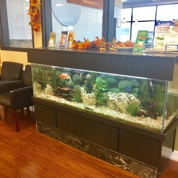 Vina Pharmacy - Fish tank inside the PHARMACY..kinda cool I know!! :) - Pharmacy Near Me - Austin, Texas Vina Pharmacy - Fish tank inside the PHARMACY..kinda cool I know!! :) - Pharmacy Near Me - Austin, Texas