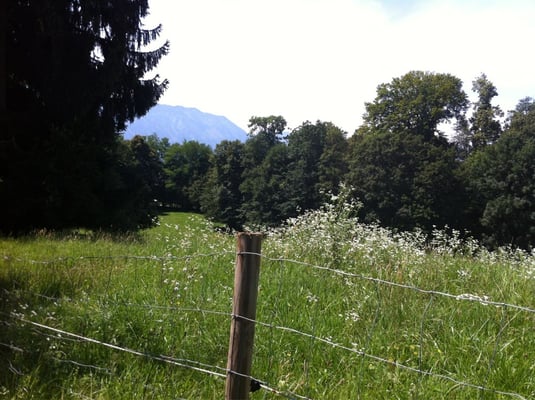 Museum der Moderne by null