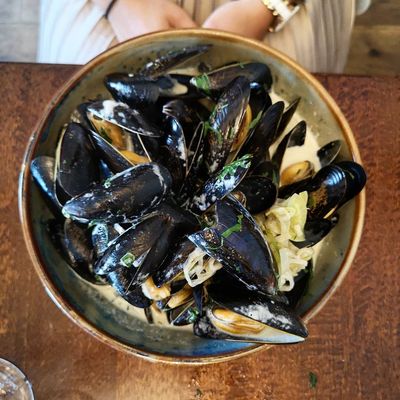 Burgers & Fish Padstow by null