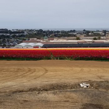 The Flower Fields - Sidewalk view - Venues & Event Spaces Near Me - Carlsbad, California