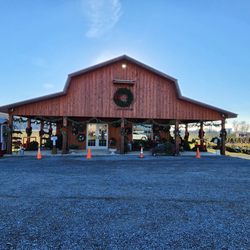 Wyckoff's Christmas Tree Farm