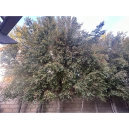 Before and after photos