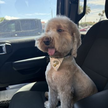 Broadway Grooming  - Pet Groomers Near Me - Mesa, Arizona