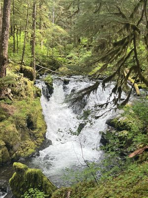 Sol Duc Hot Springs Resort by null
